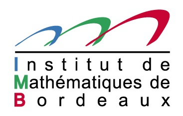 Logo IMB CNRS Stats